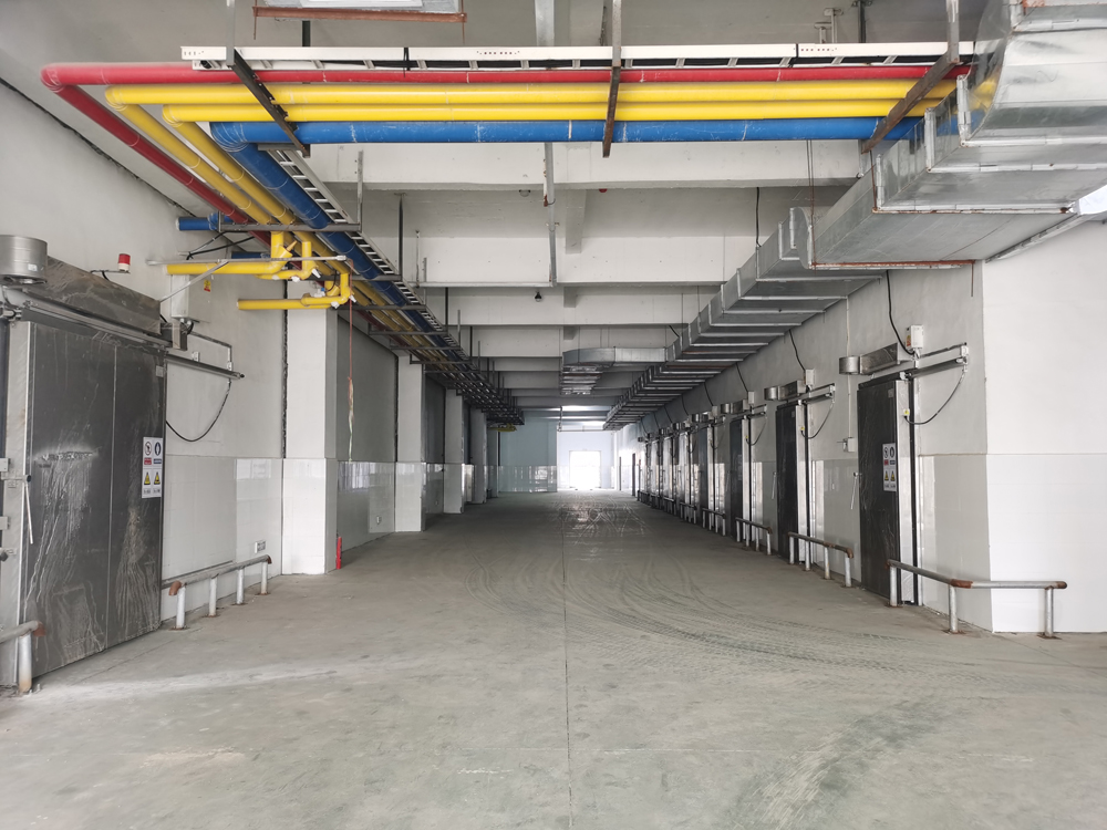 Desheng Food Free Freeze and Cold Storage Project