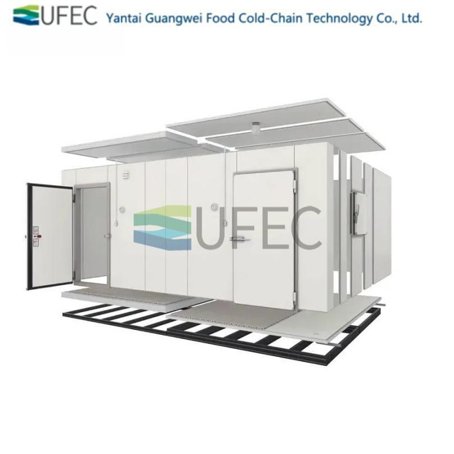 Chambre froide GWZL-CR5Y001 de congélateur de stockage de nouveau conteneur de 20 pieds